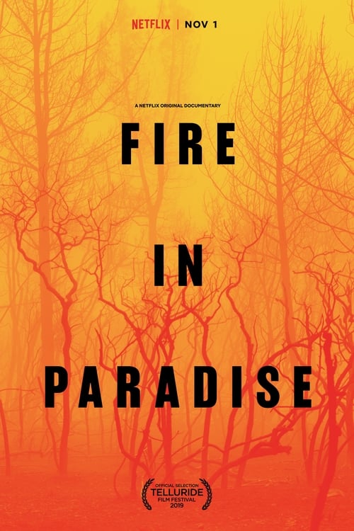 دانلود فیلم Fire in Paradise